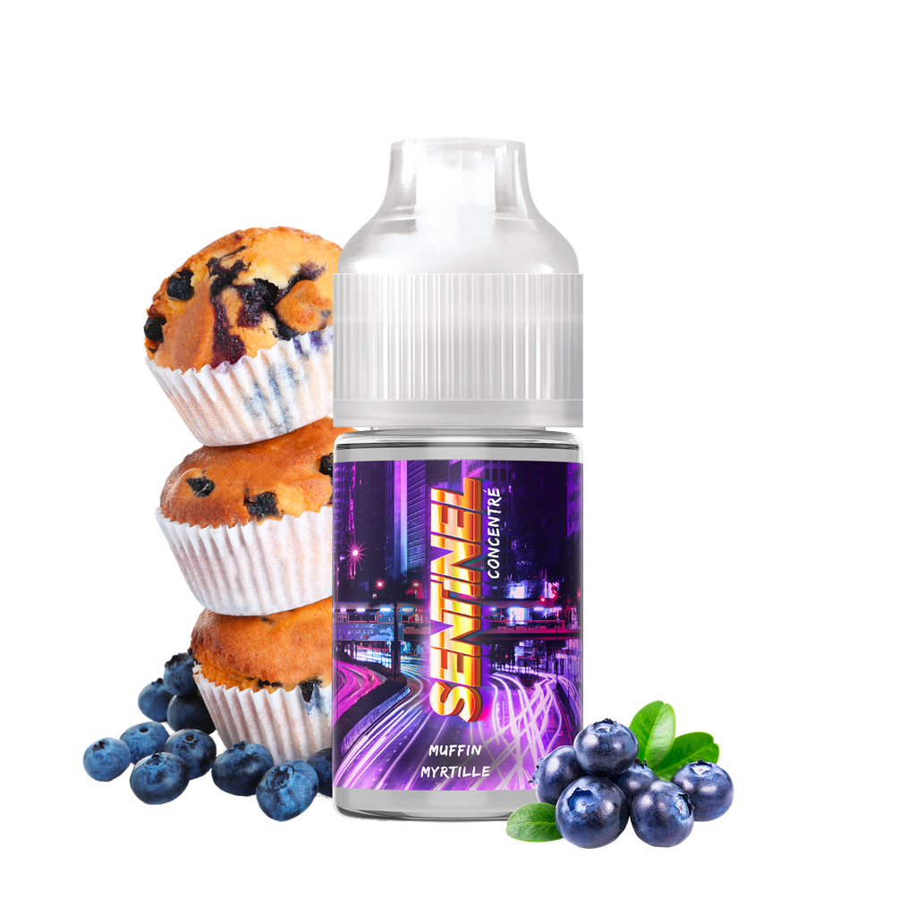 Cyber Steam Concentrés 30ml | Sentinel | Lot